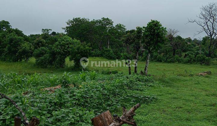 Dijual Tanah di Kutuh Badung 19 Are Itr Kuning Area Villa Villa 1