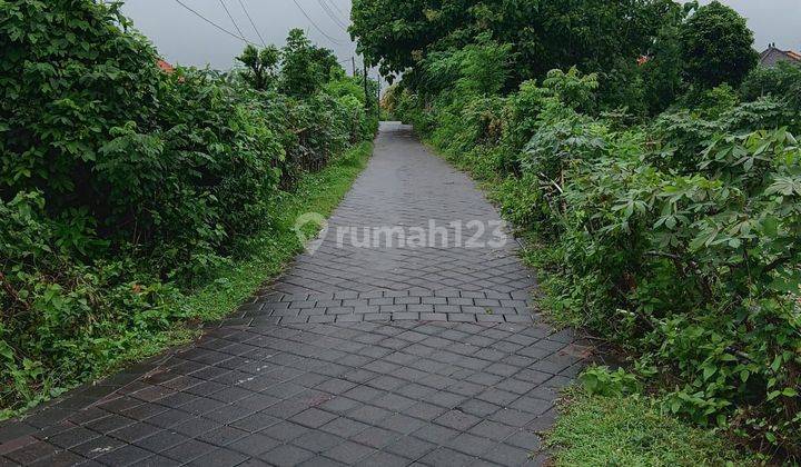 Dijual Tanah di Kutuh Badung 19 Are Itr Kuning Area Villa Villa 2