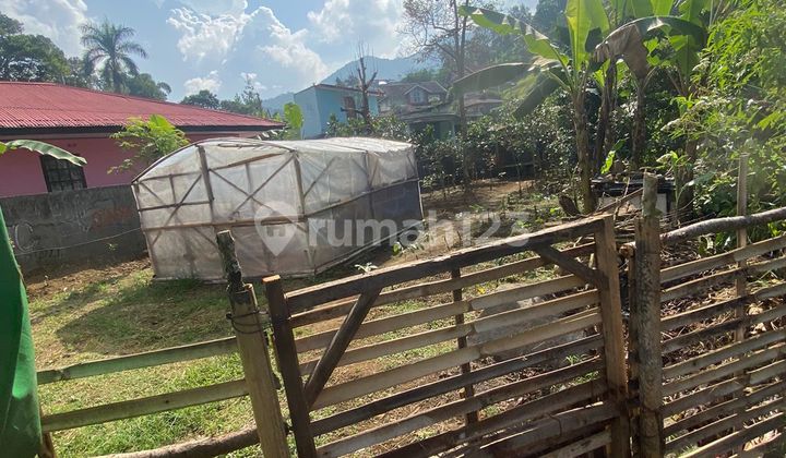DI JUAL TANAH MURAH 670 m2 DI CILOTO PUNCAK BOGOR, SURAT AMAN COCOK UNTUK INVESTASI 2