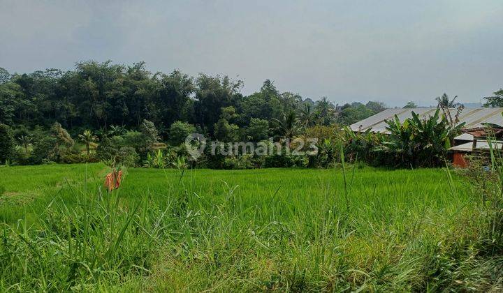 Dijual Tanah di Caringin, Kab. Bogor 2