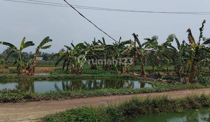 Dijual Lahan Sporadik di Cibeuteung Udik 1