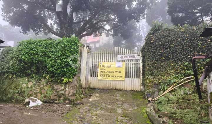 For Sale: Villa in South Tugu Village, Puncak, Bogor Regency. For Sale: Villa in South Tugu Village, Puncak, Bogor Regency.
