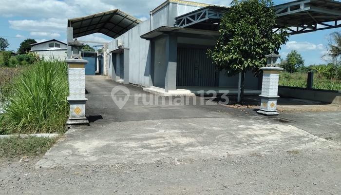 Gudang Luas 1 Lantai ( Gudang Tembakau )dusun Semampir Kulon, Desa Tambakrejo, Kec Tempelkab Sleman, Yogyakarta 1