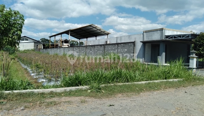 Dijual Gudang Luas 1 Lantai ( Gudang Tembakau )di Dusun Semampir Kulon, Desa Tambakrejo, Kec Tempelkab Sleman, Yogyakarta  2