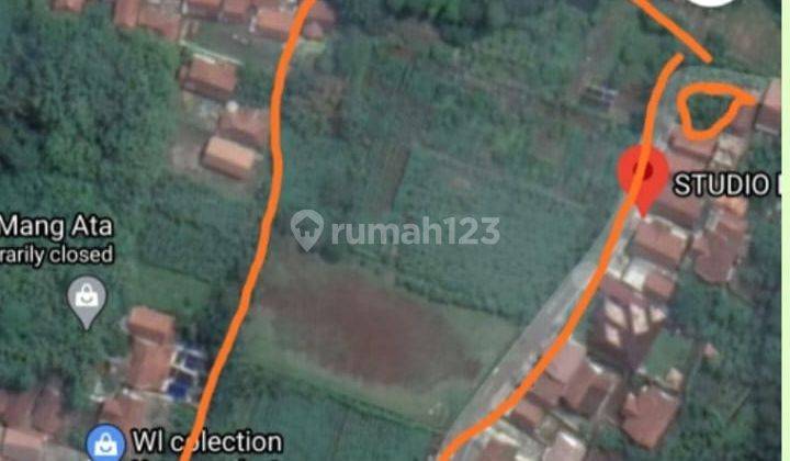 Tanah Tegalan Dijual Cepat di Waru Dramaga Bogor Harga Nego Abis 1