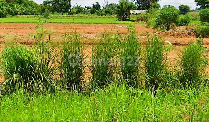 Tanah Strategis Siap Dibangun Gudang, Pabrikdi Kawasan Bonen Suka Negaraaraja Timur dan Harga Nego