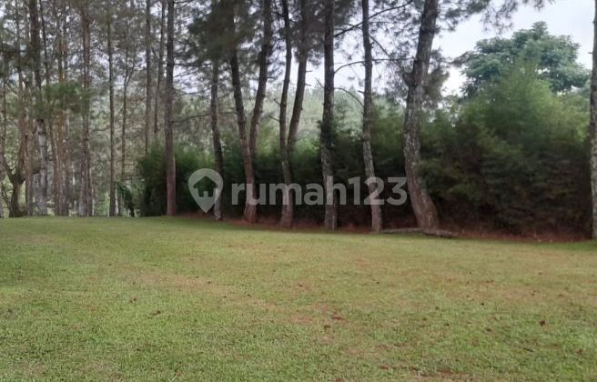 Tanah Cocok Dibangun Villa, Cafe Lokasi Strategis Tanah Cocok Dibangun Villa, Cafe Lokasi Strategis