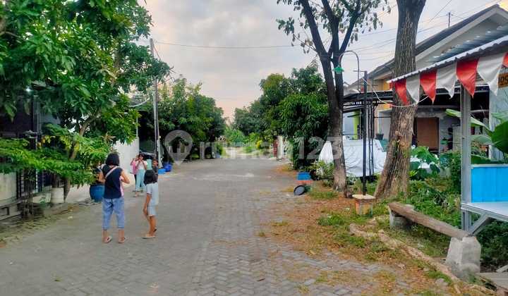 Tanah Pedurungan 200M² Murah Palebon Tlgomulyo Wolter Monginsidi Muktiharjo 2