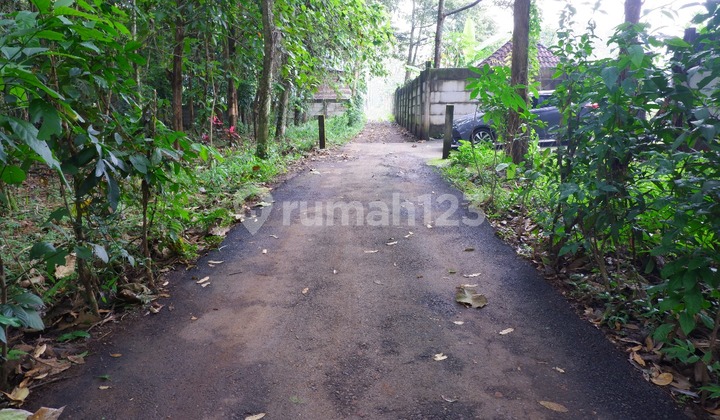 Mijen 2354 M² Tanah Wonoplumbon Bsb City Semarang Jati Kayu Murah 1