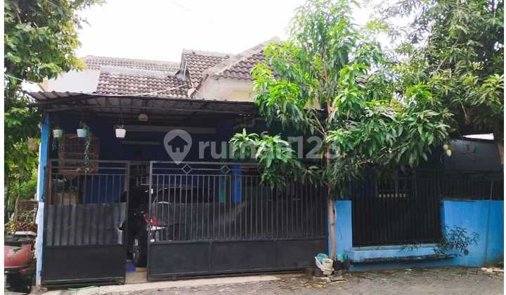 Hook Rumah di Tlogosari Pedurungan Semarang 3 Kamar SHM Cepat 1