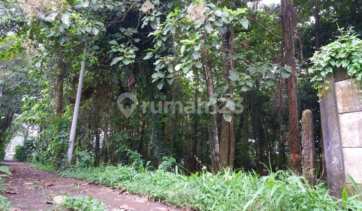 Mijen 2354 M² Tanah Wonoplumbon Bsb City Semarang Jati Kayu Murah 2