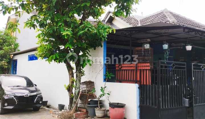 Hook Rumah di Tlogosari Pedurungan Semarang 3 Kamar SHM Cepat 2