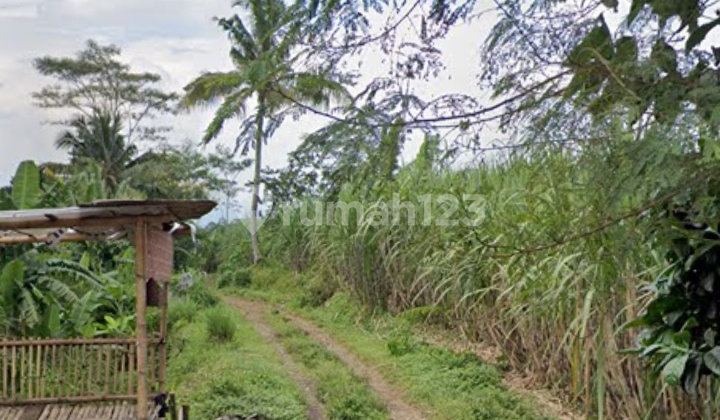 Land Area 36 M2 Pandansari Wagir Land Area 36 M2 Pandansari Wagir
