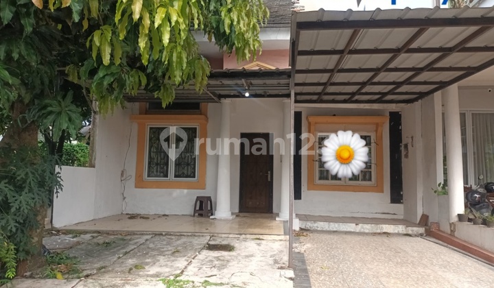 For Rent: House In Tourist City For Rent: House In Tourist City