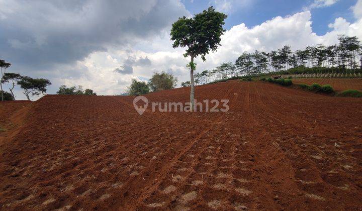 Tanah di Jatihandap Dengan View Kota Bandung Cocok Untuk Villa  1