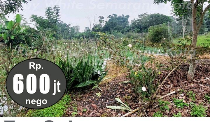 Land for Sale in Bandungan, Suitable for Villa 1