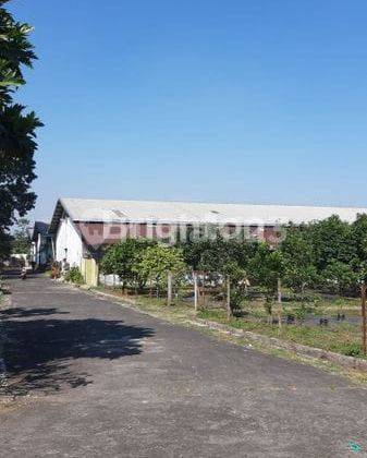 Gudang Besar Area Bandara Malang Dan Pintu Tol Pakis 2