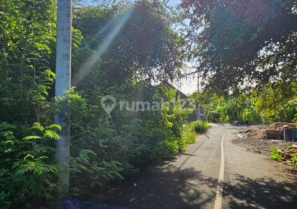 Prime Land With Affordable Price At Kutuh, Badung. 1