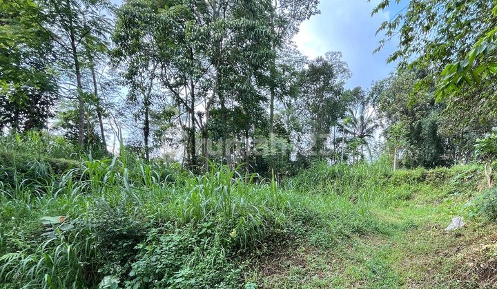 Tanah Dekat Kampus Unika 1