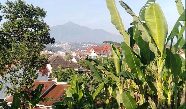 Tanah Murah Dekat Undip (Lingkungan Kos ) 1