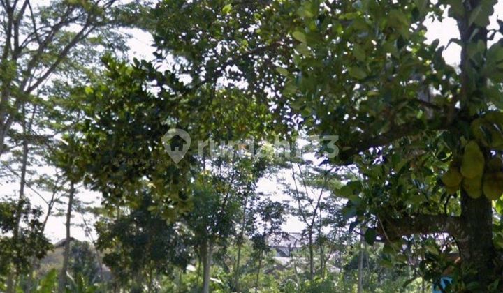 Kavling Siap Bangun Bagus Murah Ramai 1