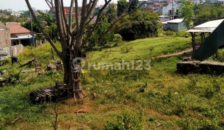 Tanah Dekat Kampus Undip, Ngesrep. Cocok Utk Dibuat Kost²an.hanya 500m Dari Kampus Undip. 2
