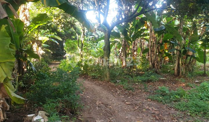 Dijual Tanah di Joglo. Kembangan (Dalam Komplek) Dijual Tanah di Joglo. Kembangan (Dalam Komplek)
