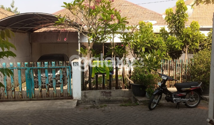 Rumah 1 Lantai di Nginden Rumah 1 Lantai di Nginden