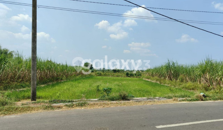 Land in Raya Sidoraharjo, Kedamean, Gresik