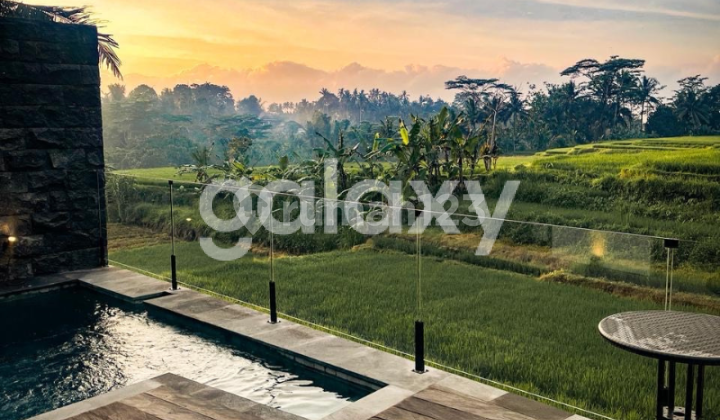 Villa Rice Field in Pacung Selat, Abiansemal, Mengwi, Badung, Bali