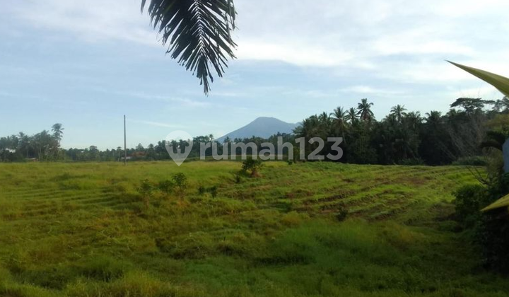 Rumah Asri 1 Lantai View Sawah & Gunung di Graha Candra Tabanan