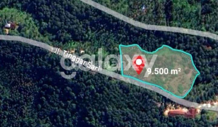 Garden Land in Duran, Tinggarsari, Busung Biu, Buleleng, Bali