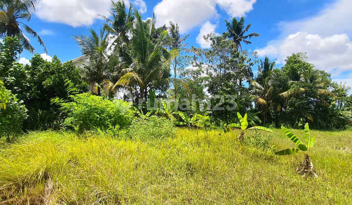 For Sale Hook Land in Gianyar