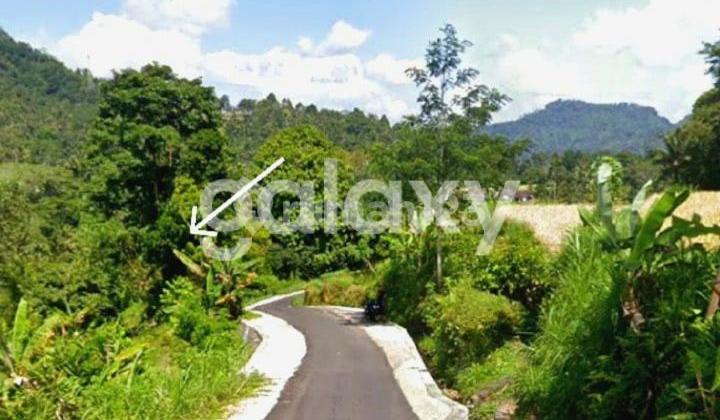 Tanah di Pering Sari Selat Sidemen Karangasem, Bali Tanah di Pering Sari Selat Sidemen Karangasem, Bali