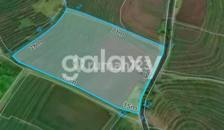 Tanah View Sawah Terasering di Pesagi Penebel Tabanan, Bali