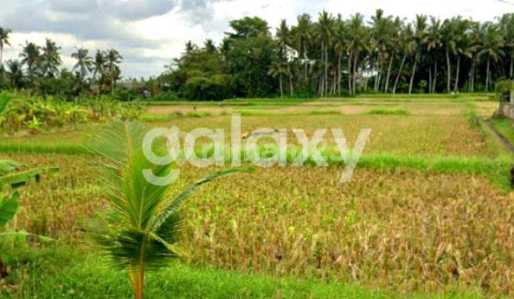 Tanah View Sawah di Subak Sari Kemenuh Sukawati Gianyar, Bali