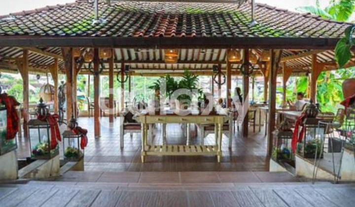 OVERKONTRAK RESTAURANT 1 LANTAI MERTA AGUNG KEROBOKAN BADUNG, BALI 2