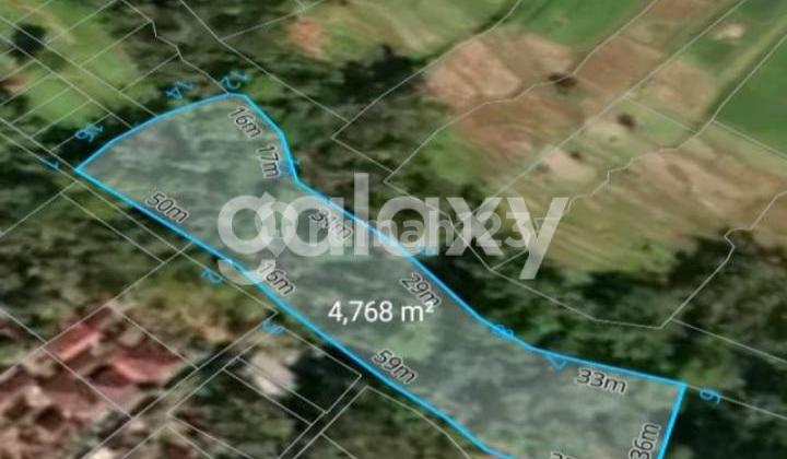 TANAH VIEW SAWAH LOKASI PREMIUM DI SINGAPADU BATUBULAN GIANYAR, BALI