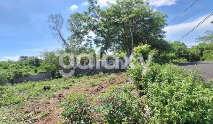 TANAH PINGGIR JALAN DI TUKAD SUNTI BENOA BADUNG, BALI TANAH PINGGIR JALAN DI TUKAD SUNTI BENOA BADUNG, BALI