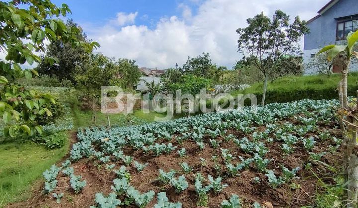 DIJUAL TANAH DI BUMIAJI BATU DIJUAL TANAH DI BUMIAJI BATU