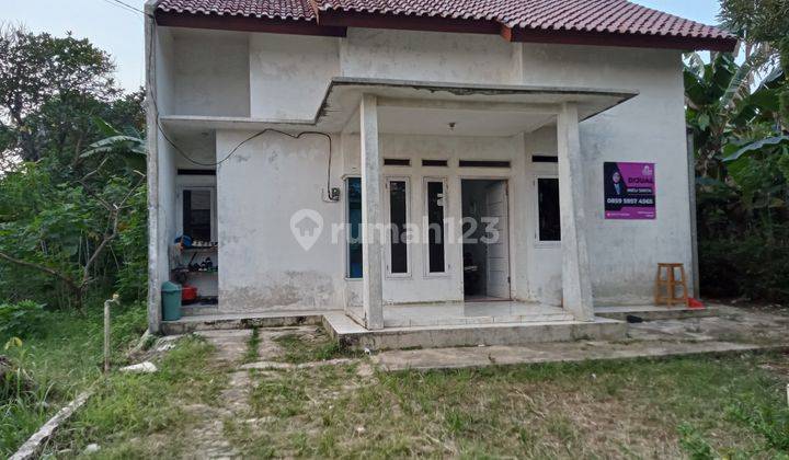 Rumah Dijual Dengan Lahan Yang Sangat Luas 2