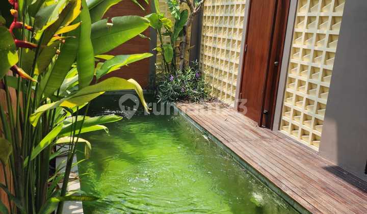 Villa Mewah Private Pool Furnish di Canggu Cn