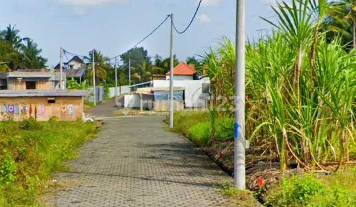 Dijual Tanah 120 M² Shm Area Kedungu Dekat Tanah Lot Lc Dijual Tanah 120 M² Shm Area Kedungu Dekat Tanah Lot Lc