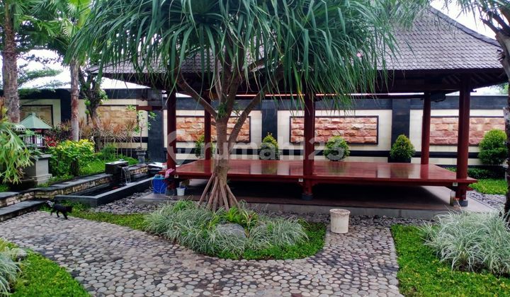 Private Pool Villa Large Yard Near Lovina Mnk