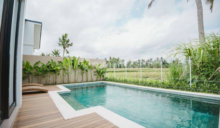 Monthly Rental/Sale Freehold Villa View Rice Fields In Ubud Cn 1