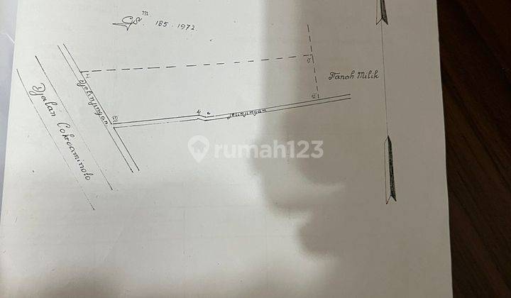 Dijual Rumah Atau Gudang 2 Lantai Di Cokroaminoto Denpasar Cn 2