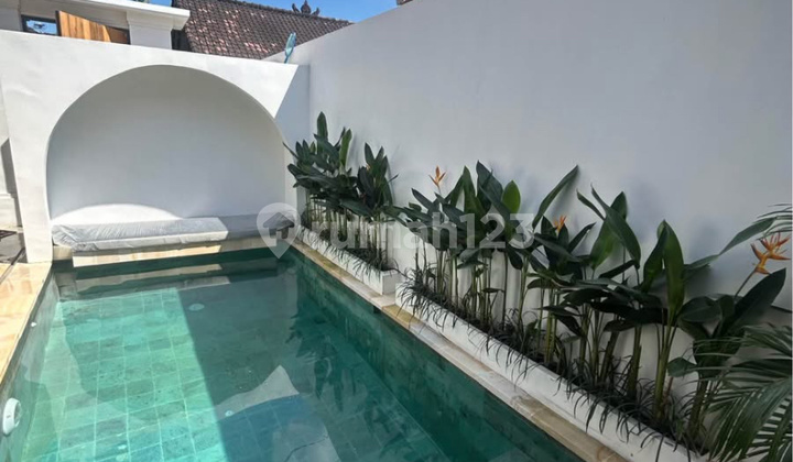 Disewakan Villa 2 Kamar Di Padonan Canggu Cn Disewakan Villa 2 Kamar Di Padonan Canggu Cn