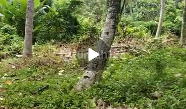 Long Term Lease 17.05 Ares of Land in Tabanan At Long Term Lease 17.05 Ares of Land in Tabanan At