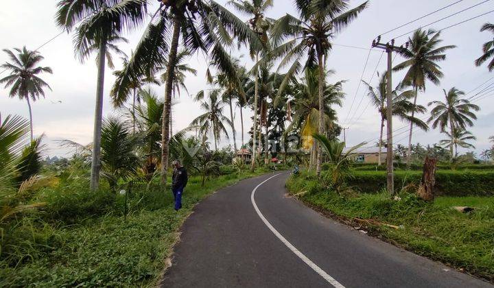 Dijuak Tanah 1250 M² Shm Zona Kuning Di Tegallalang Dd At 1