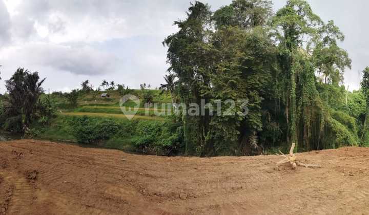 Dijual Tanah Kavling Ada 27 Blok Di Gianyar Ri